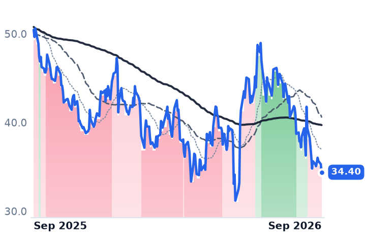 BIRK 12-month price