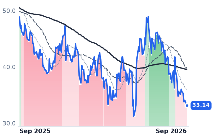 BIRK 12-month price