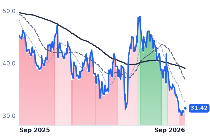 BIRK 12-month price