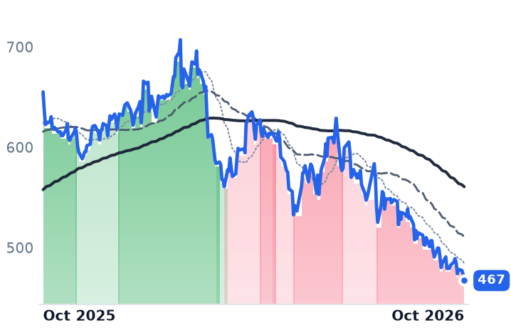 MLM 12-month price