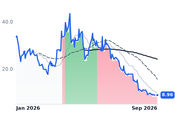 YSS 12-month price